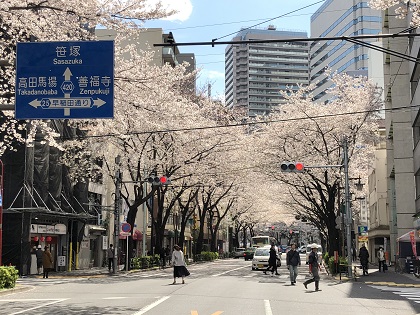 ファイル 4611-2.jpg