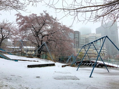 ファイル 4615-1.jpg