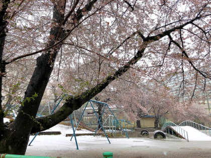 ファイル 4615-2.jpg