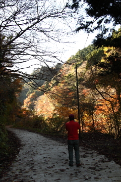 ファイル 465-1.jpg