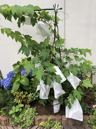 ファイル 4689-1.jpg