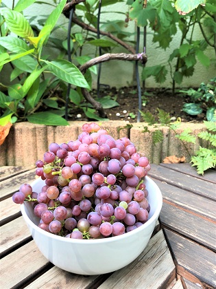 ファイル 4754-3.jpg