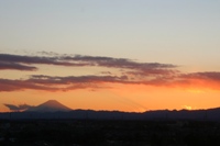 ファイル 5-1.jpg