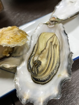 ファイル 5267-2.jpg