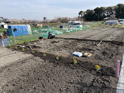 ファイル 5350-1.jpg