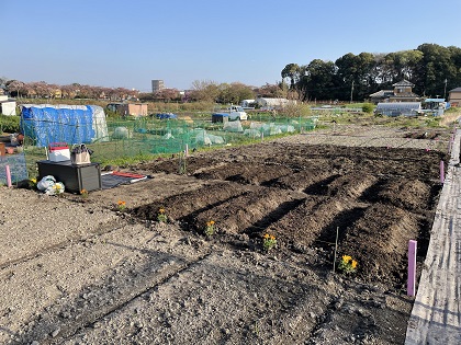 ファイル 5357-1.jpg