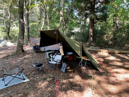 ファイル 5538-1.jpg