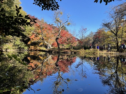 ファイル 5563-1.jpg