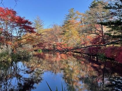 ファイル 5563-2.jpg