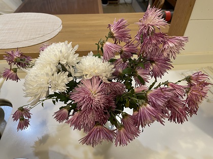 ファイル 5584-1.jpg