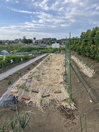 ファイル 5750-1.jpg