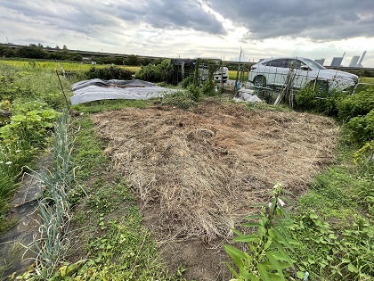 ファイル 5869-1.jpg