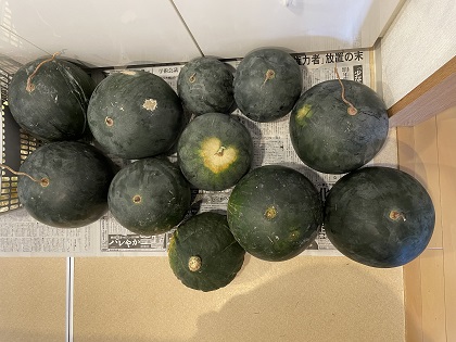 ファイル 5872-1.jpg