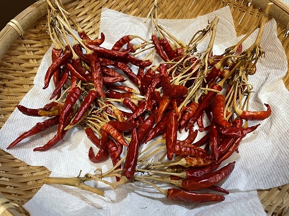 ファイル 5874-1.jpg