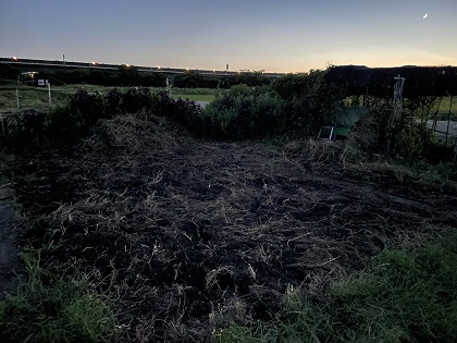 ファイル 5885-1.jpg