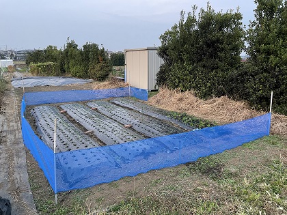 ファイル 5932-1.jpg