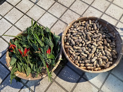 ファイル 5934-1.jpg