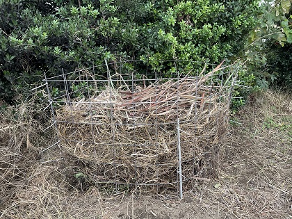 ファイル 5940-1.jpg