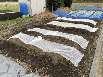 ファイル 5942-1.jpg