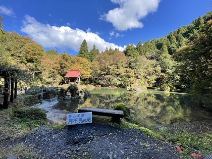 ファイル 5944-3.jpg