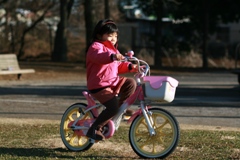 ファイル 6-2.jpg