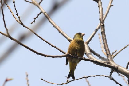 ファイル 6092-2.jpg