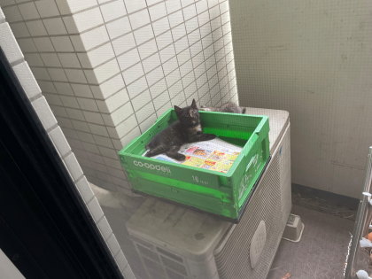 ファイル 6179-1.jpg