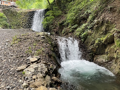 ファイル 6193-1.jpg