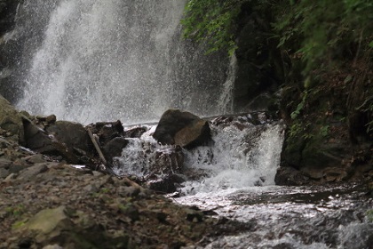 ファイル 6195-1.jpg