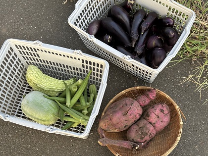 ファイル 6253-1.jpg