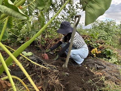 ファイル 6259-1.jpg