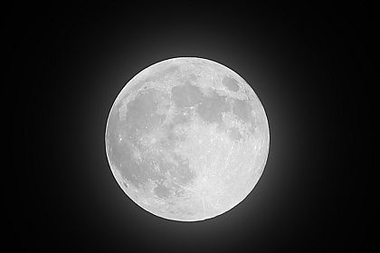 ファイル 6281-1.jpg