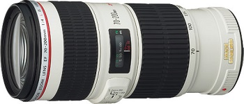 ファイル 6515-1.jpg