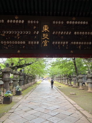 ファイル 6524-1.jpg