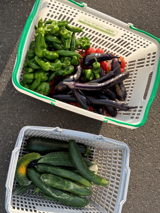 ファイル 6560-1.jpg