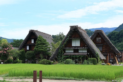 ファイル 6578-1.jpg