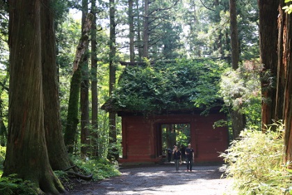 ファイル 6594-1.jpg