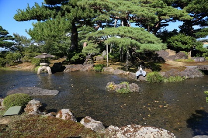 ファイル 6595-1.jpg