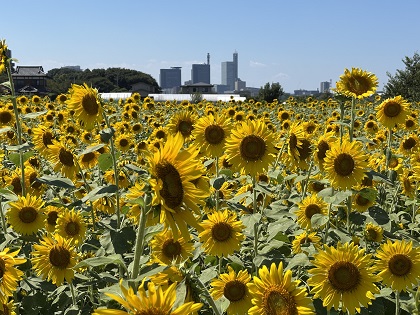 ファイル 6600-3.jpg