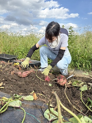 ファイル 6628-1.jpg