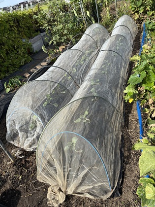 ファイル 6643-1.jpg