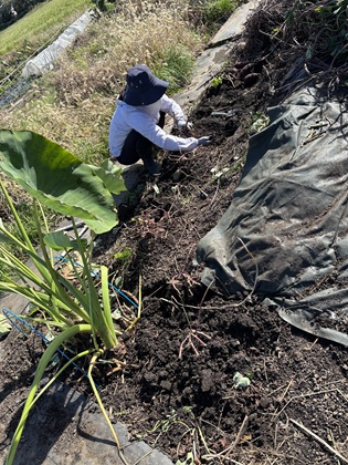 ファイル 6665-1.jpg