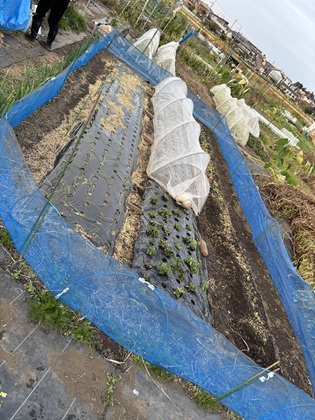 ファイル 6671-1.jpg