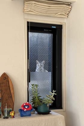 ファイル 6674-1.jpg