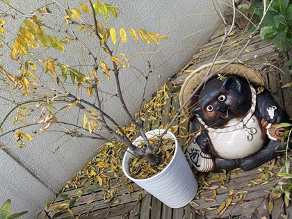 ファイル 6677-1.jpg