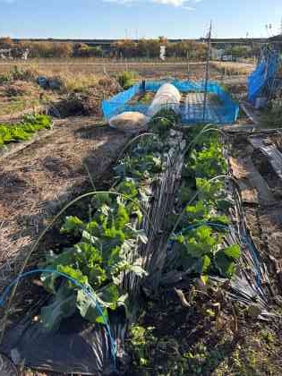 ファイル 6685-2.jpg