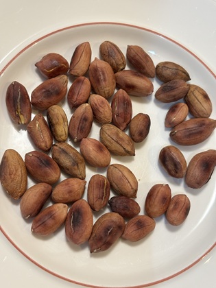 ファイル 6713-1.jpg