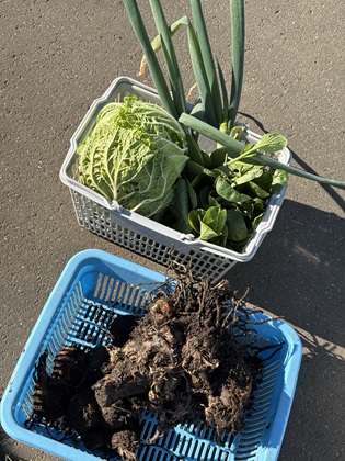 ファイル 6726-2.jpg