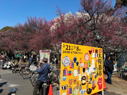 ファイル 6776-1.jpg