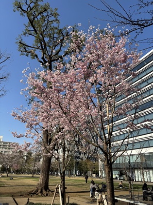 ファイル 6806-1.jpg